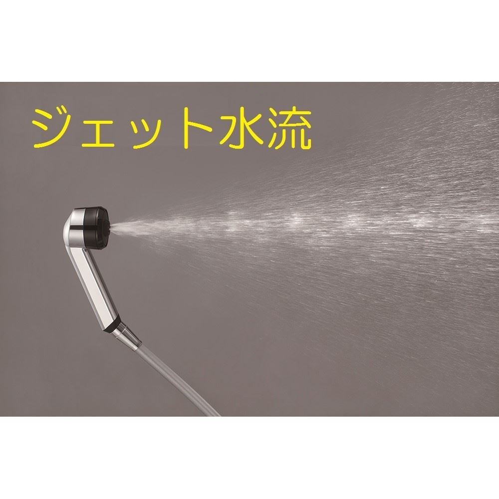 三栄水栓製作所　ボディケアシャワー　ＰＳ３０５１－８１ＸＡ－Ｃ