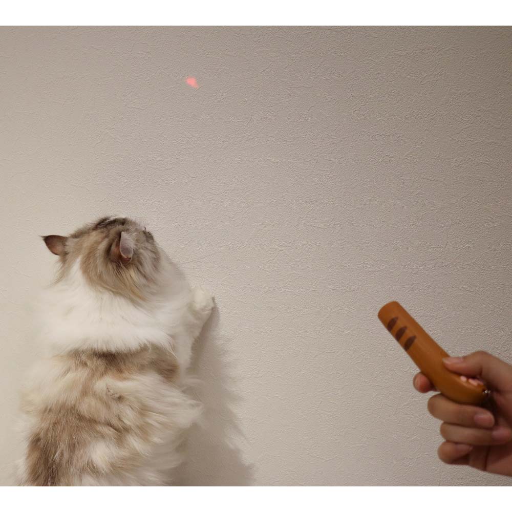 ドギーマンハヤシ　じゃれ猫ＬＥＤ ニャンだろ～！？光線