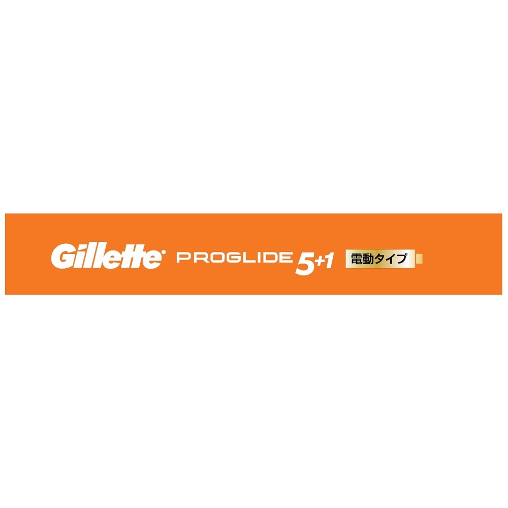 PG ジレット プログライドフレックスボールパワーホルダー 電動タイプ 替刃２個付: 日用消耗品|ホームセンターコーナンの通販サイト