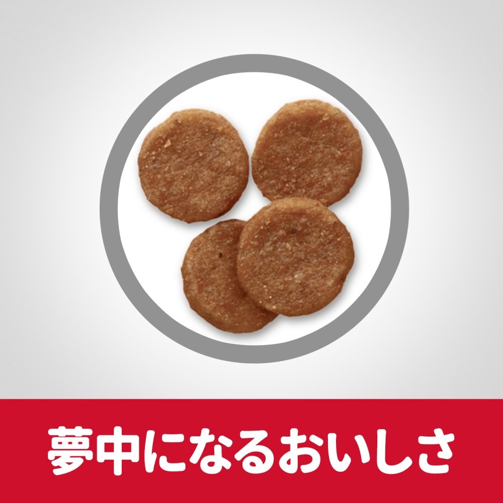 サイエンスダイエット　減量サポート中粒中型犬　チキン５ｋｇ ５ｋｇ