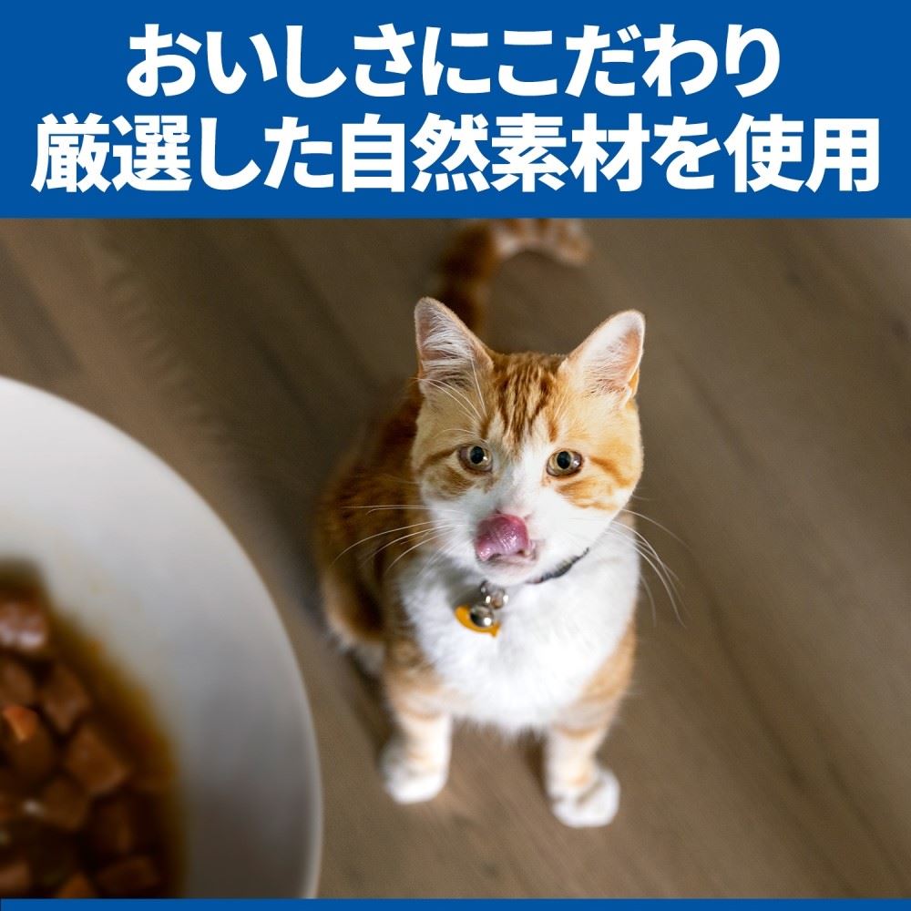 日本ヒルズ・コルゲート　サイエンスダイエット　腸の健康Ｓプラス猫用１歳～チキン　２．５ｋｇ