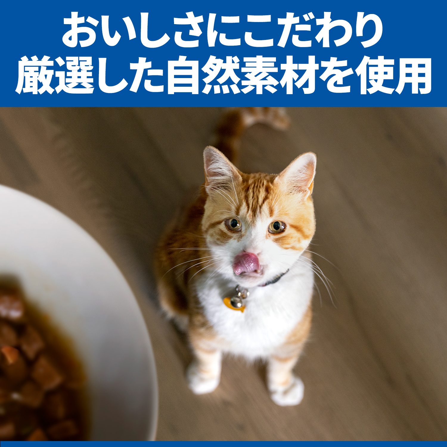 日本ヒルズ・コルゲート　サイエンスダイエット　腸の健康　猫　２００ｇ 200g