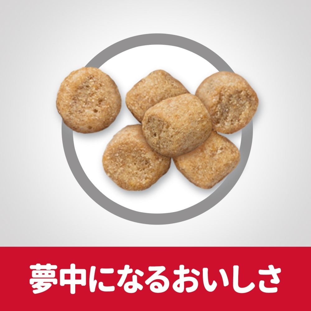 日本ヒルズ・コルゲート　サイエンスダイエット　シニアアドバンスド猫１．４ｋｇ シニアアドバンスド猫１．４ｋｇ