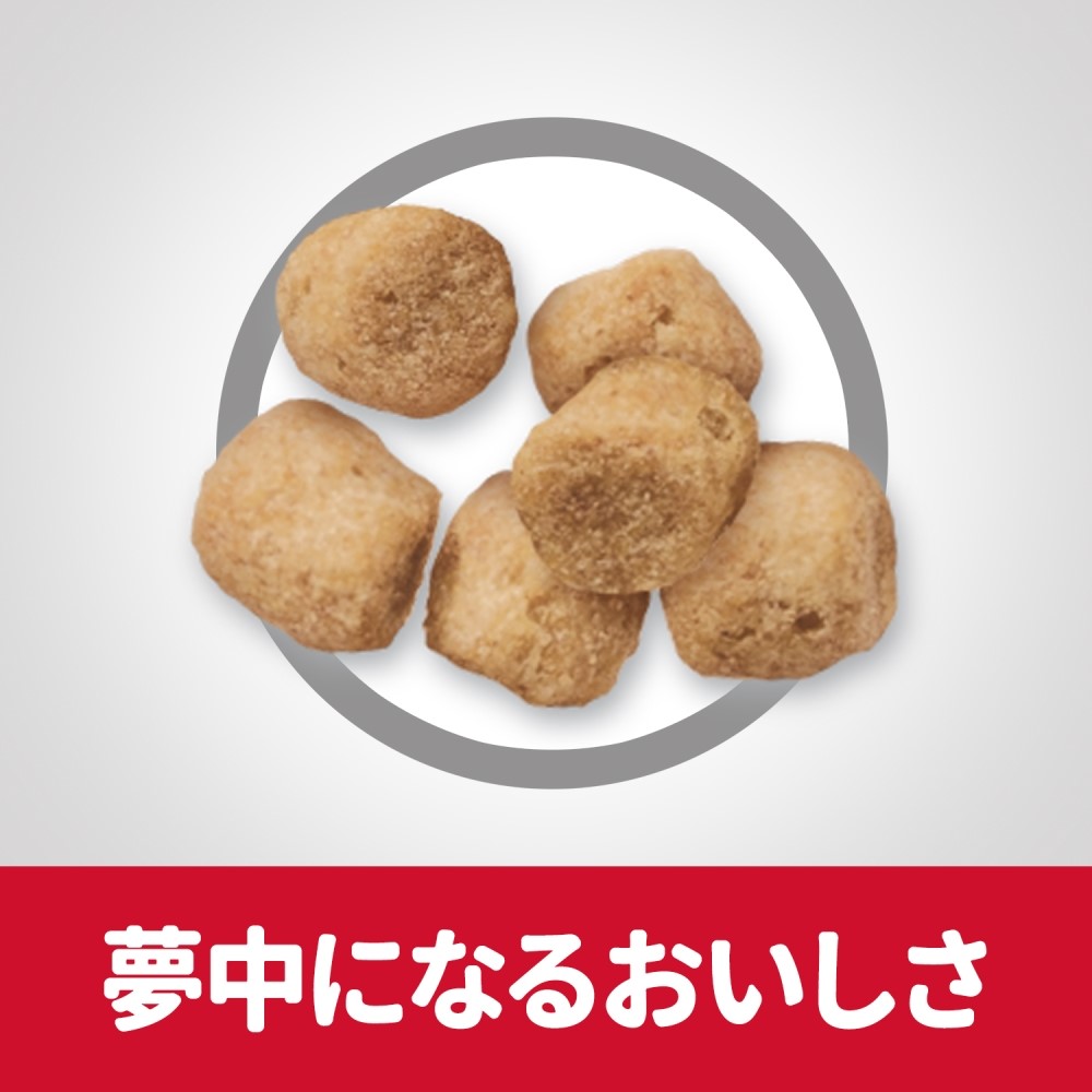 日本ヒルズ・コルゲート　サイエンスダイエット　ライトチキン猫１．４ｋｇ チキン