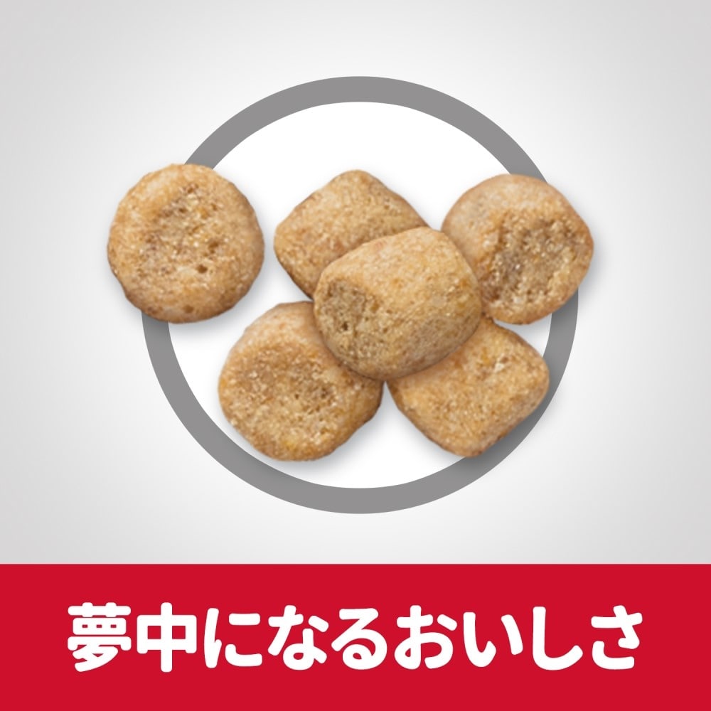 日本ヒルズ・コルゲート　サイエンスダイエット　シニアライト高齢猫１．４ｋｇ シニアライト高齢猫１．４ｋｇ