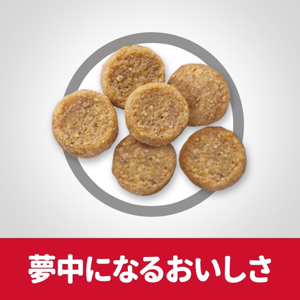 日本ヒルズ　・コルゲート　サイエンスダイエット　アダルト成猫用２．８ｋｇ　×４個セット