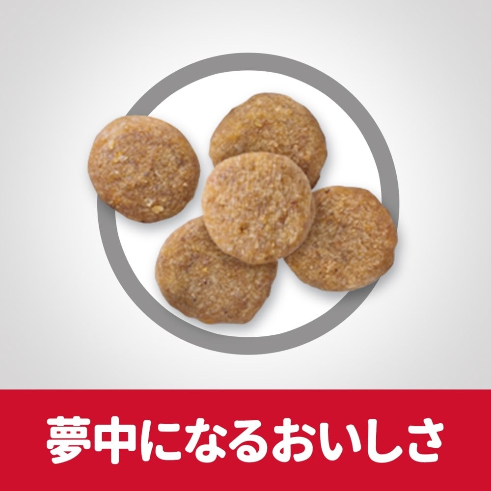 日本ヒルズ　・コルゲート　サイエンスダイエット　高齢猫用２．８ｋｇ　×４個セット