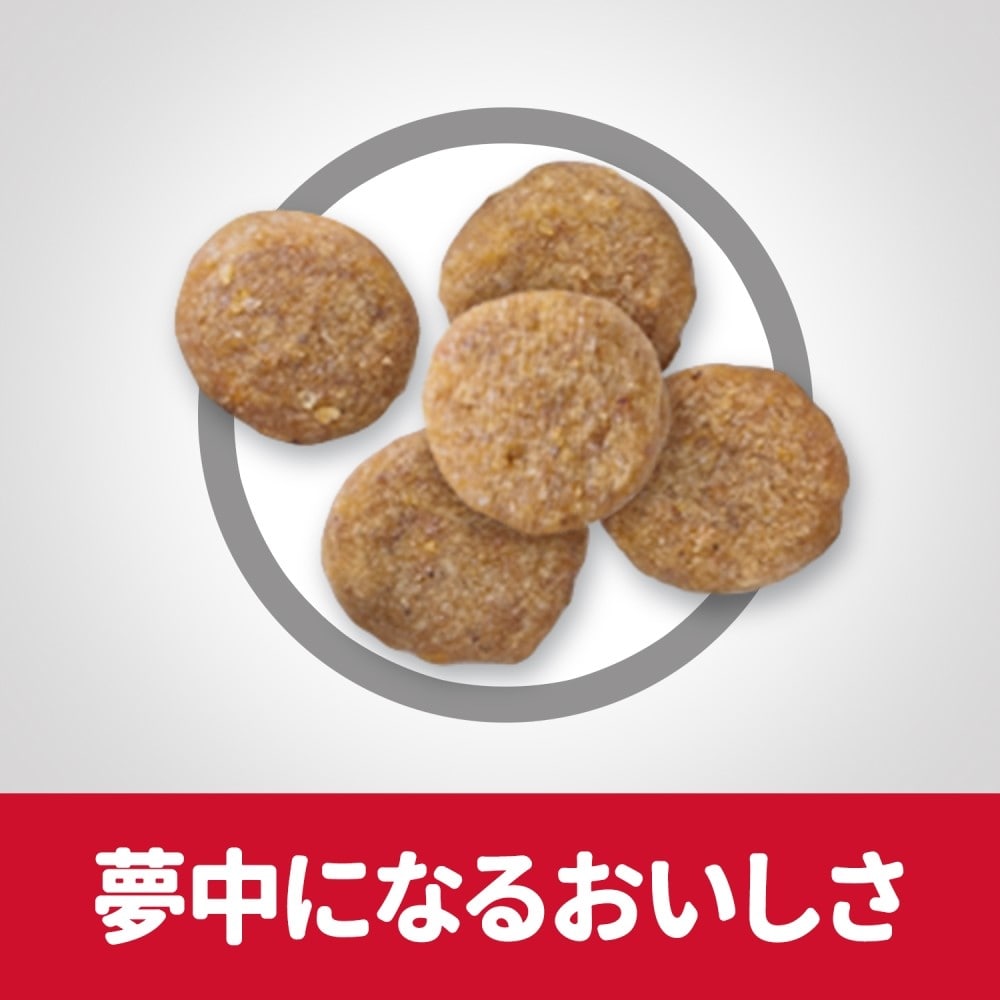 日本ヒルズ　・コルゲート　サイエンスダイエット　チキン高齢猫用２．８ｋｇ　×４個セット