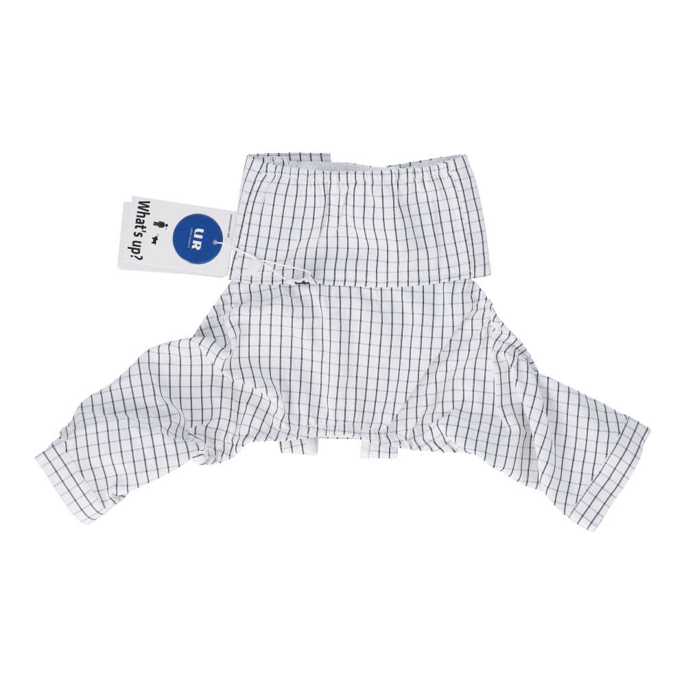 URBAN RESEARCH グラフチェックパンツ　ホワイト４号 チェックホワイト ４号
