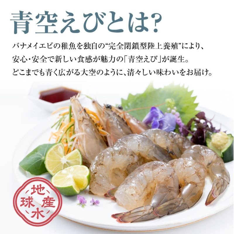 青空えび (和名：シロアシエビ) 200g×2パック 冷凍  海老 殻付き 有頭えび 生えび 2パック