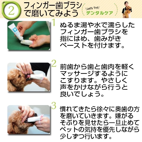 初めての歯みがきセット　歯みがきペースト２１ｇ＆フィンガー歯ブラシ１枚