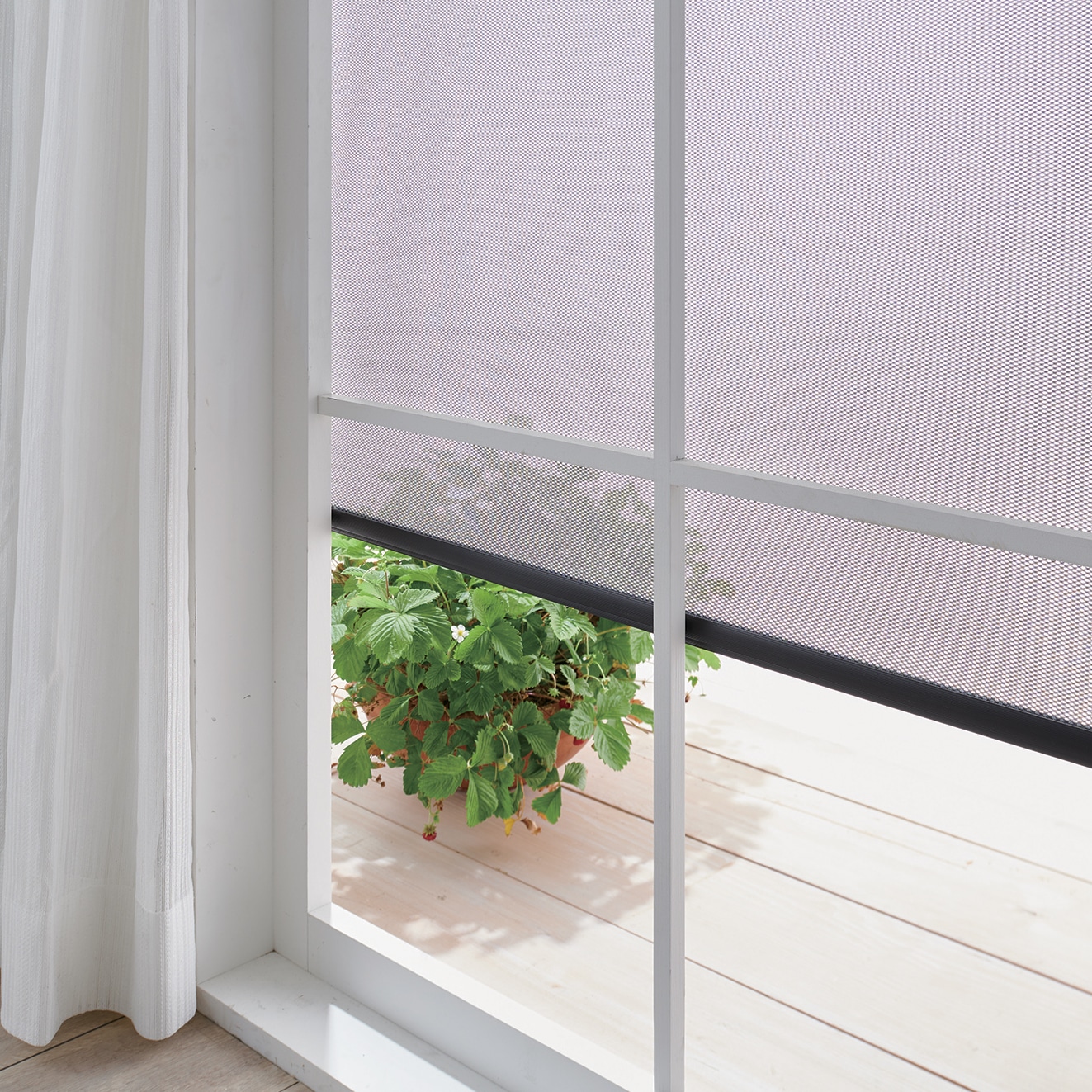 LIFELEX 遮光遮熱スクリーン　約幅６０×丈１３５ｃｍ 60×135cm