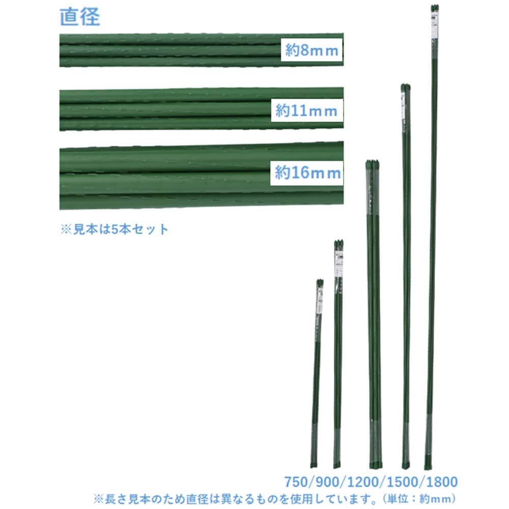 LIFELEX 園芸いぼ支柱５本セット　太さ８ｍｍ×長さ７５０ｍｍ 太さ８ｍｍ×長さ７５０ｍｍ