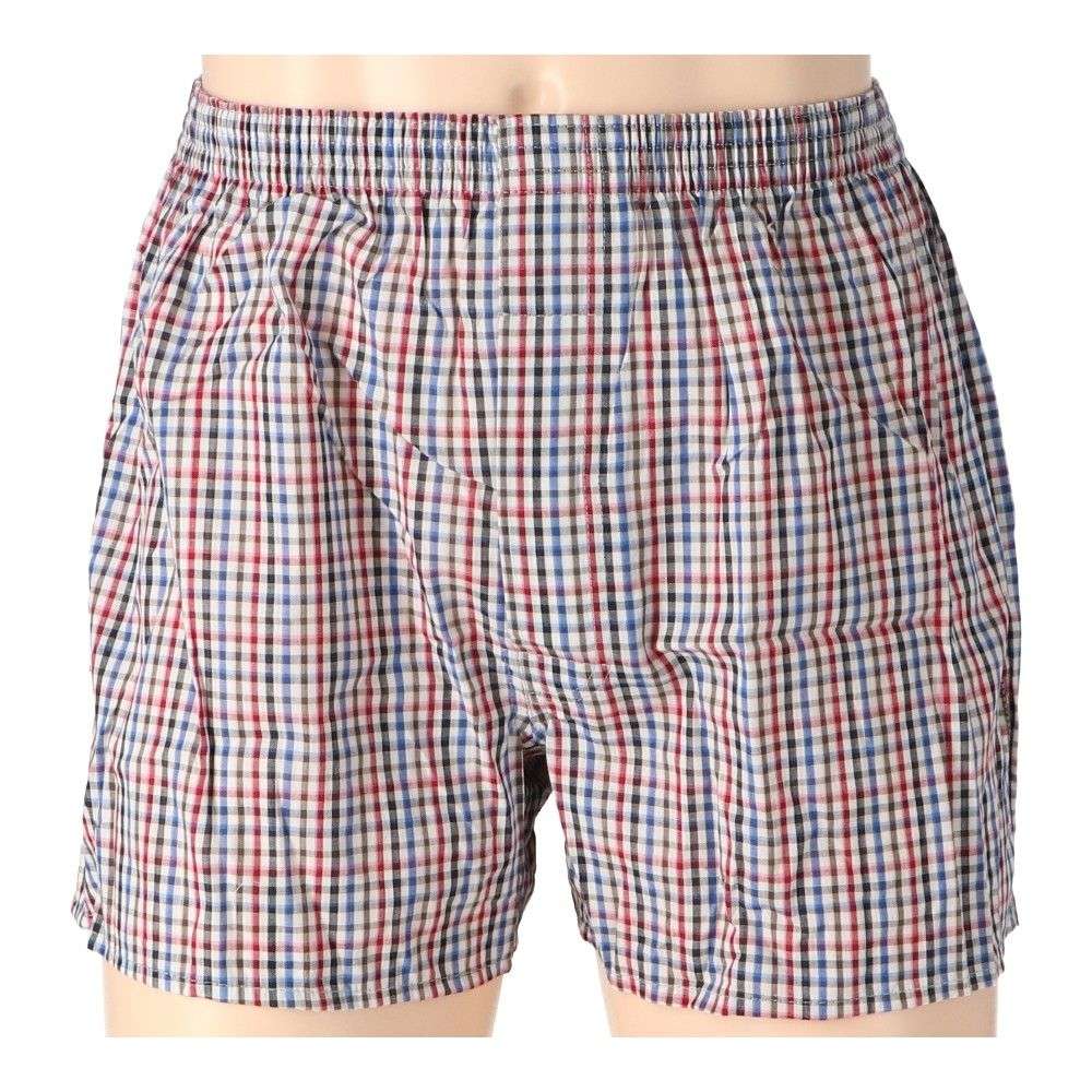 LIFELEX　トランクス　２Ｐ　ホワイト・ブルー系チェック　Ｌ ホワイト・ブルー系チェック　Ｌ