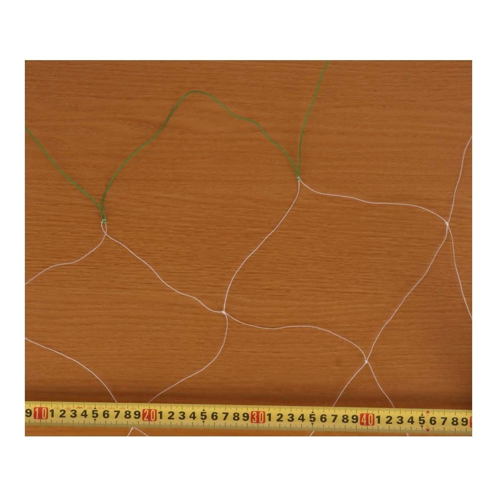 LIFELEX　エンドウネット　１５ｃｍ目　約１．８×１８ｍ 18m