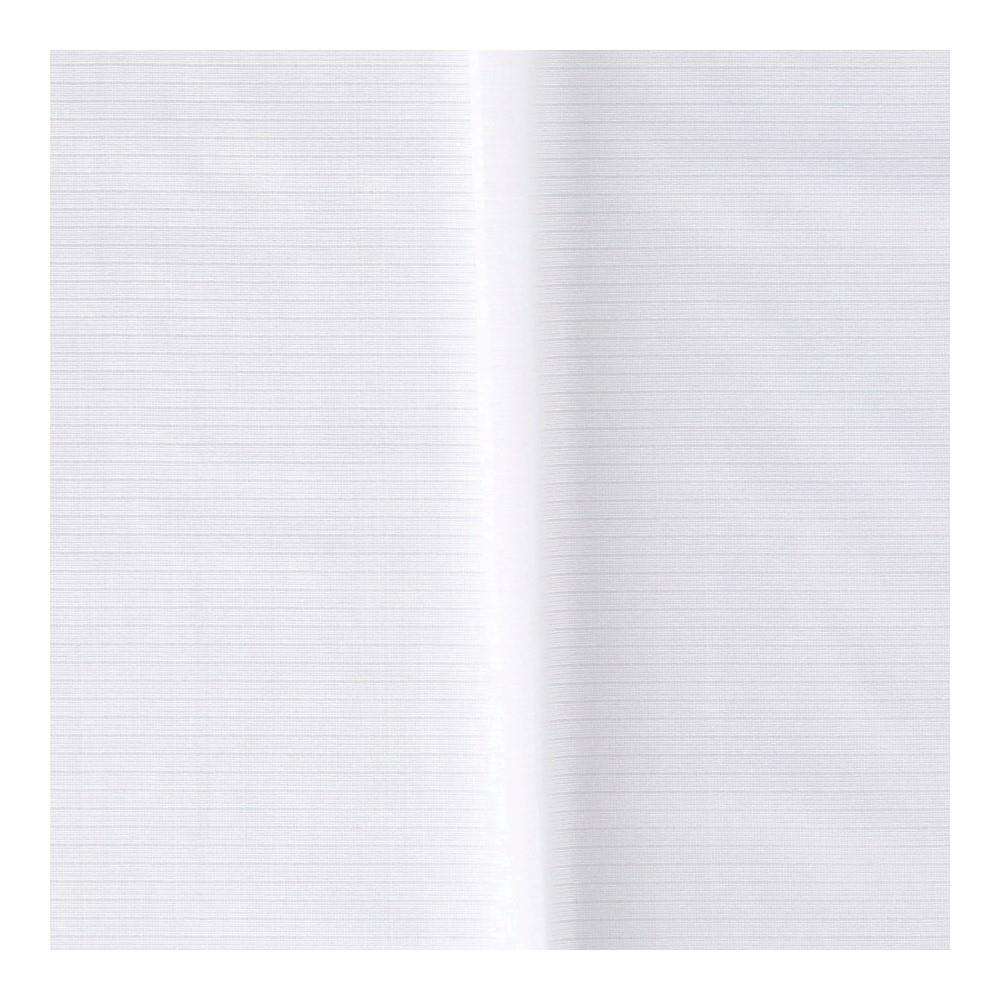 LIFELEX　ペット対応＋遮像＋遮熱・保温レースカーテン　アニムＢ　２枚組　１００×１０８　アイボリー 幅100×丈108ｃｍ