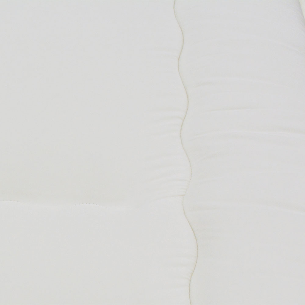 LIFELEX　防ダニ敷布団　Ｄ D