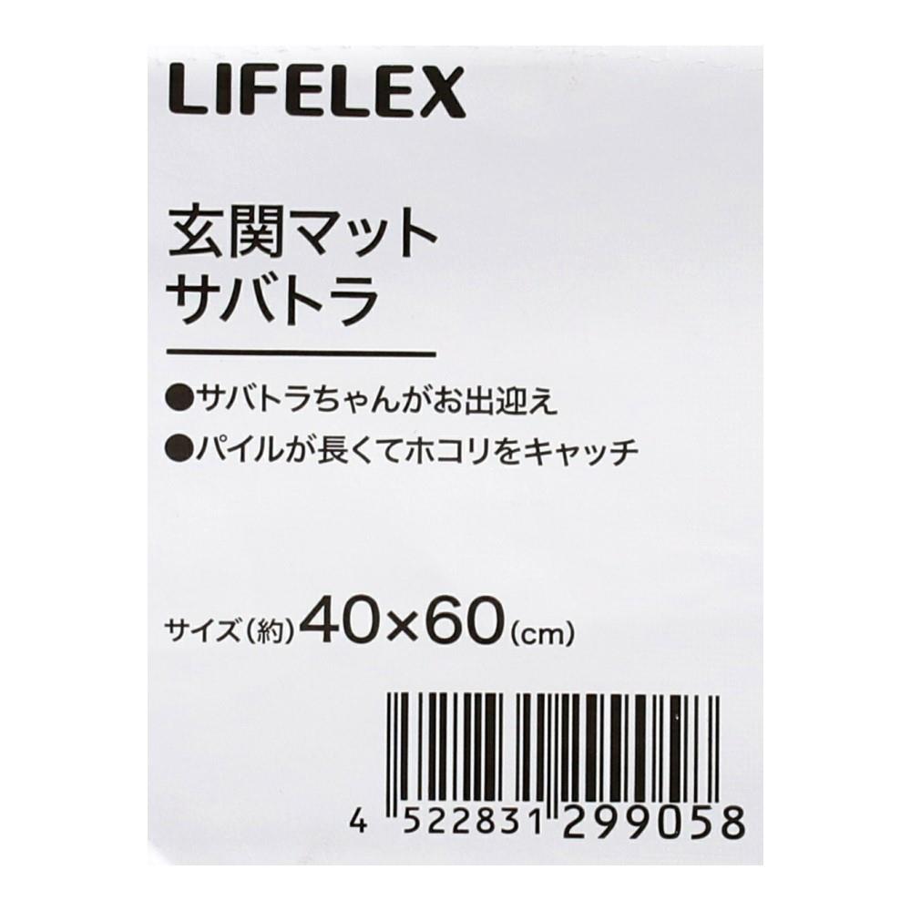 LIFELEX　玄関マット　４０×６０　サバトラ