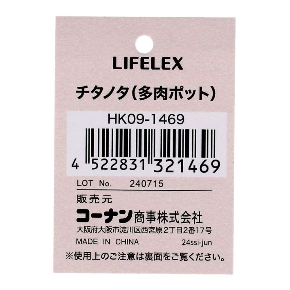 LIFELEX　チタノタ（多肉ポット）　ＨＫ０９－１４６９