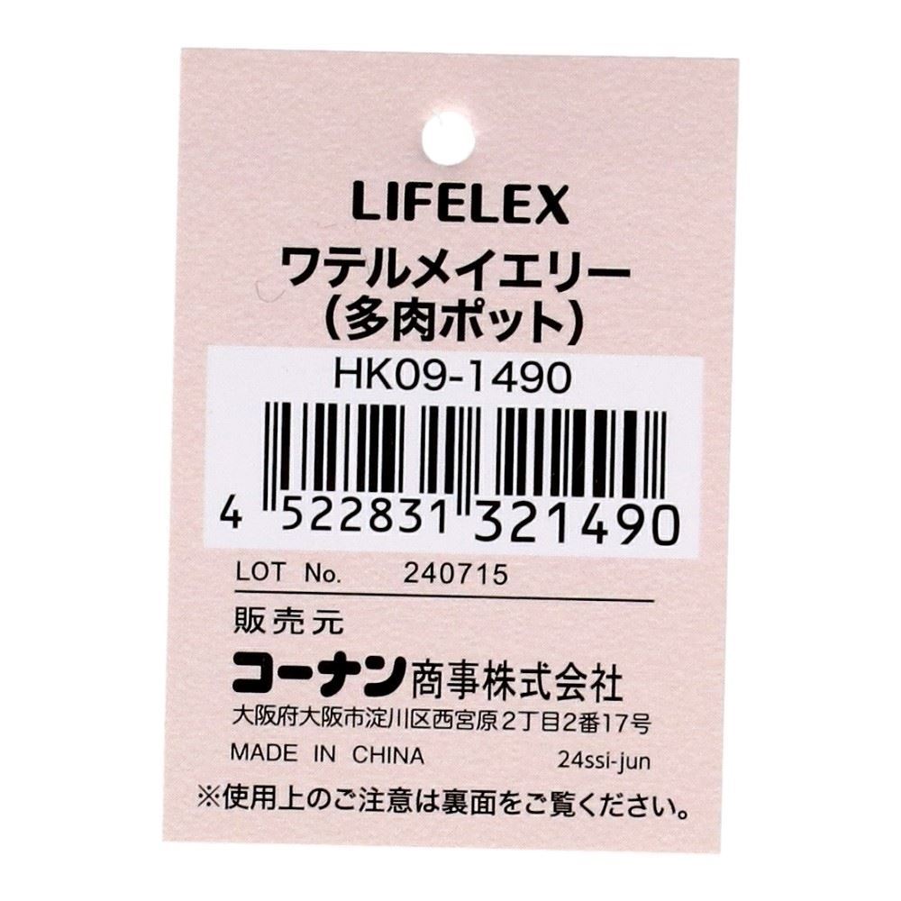 LIFELEX　ワテルメイエリー（多肉ポット）　ＨＫ０９－１４９０