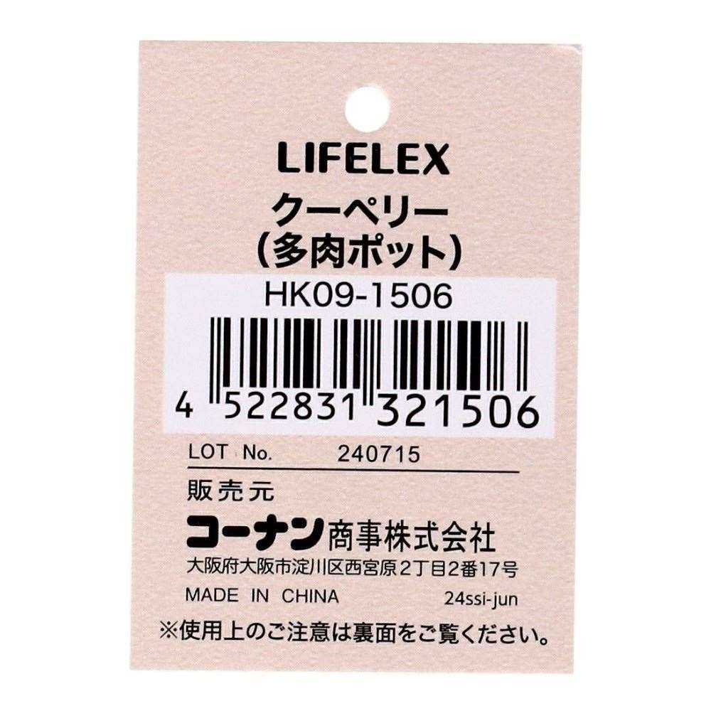 LIFELEX　クーペリー（多肉ポット）　ＨＫ０９－１５０６