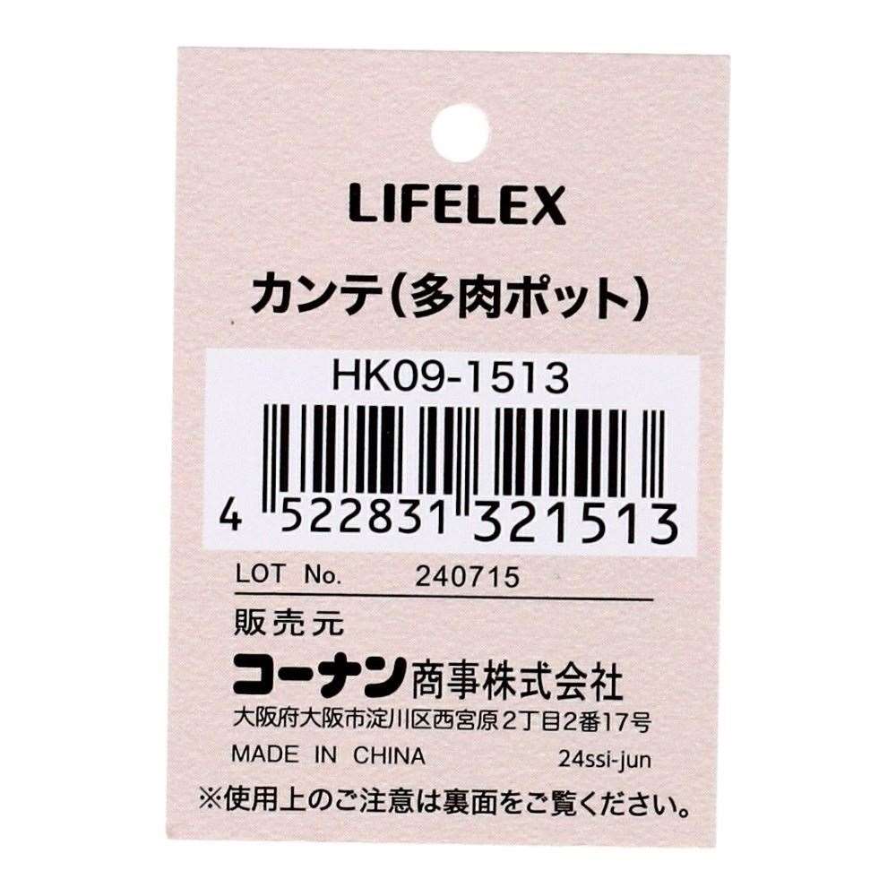 LIFELEX　カンテ（多肉ポット）　ＨＫ０９－１５１３