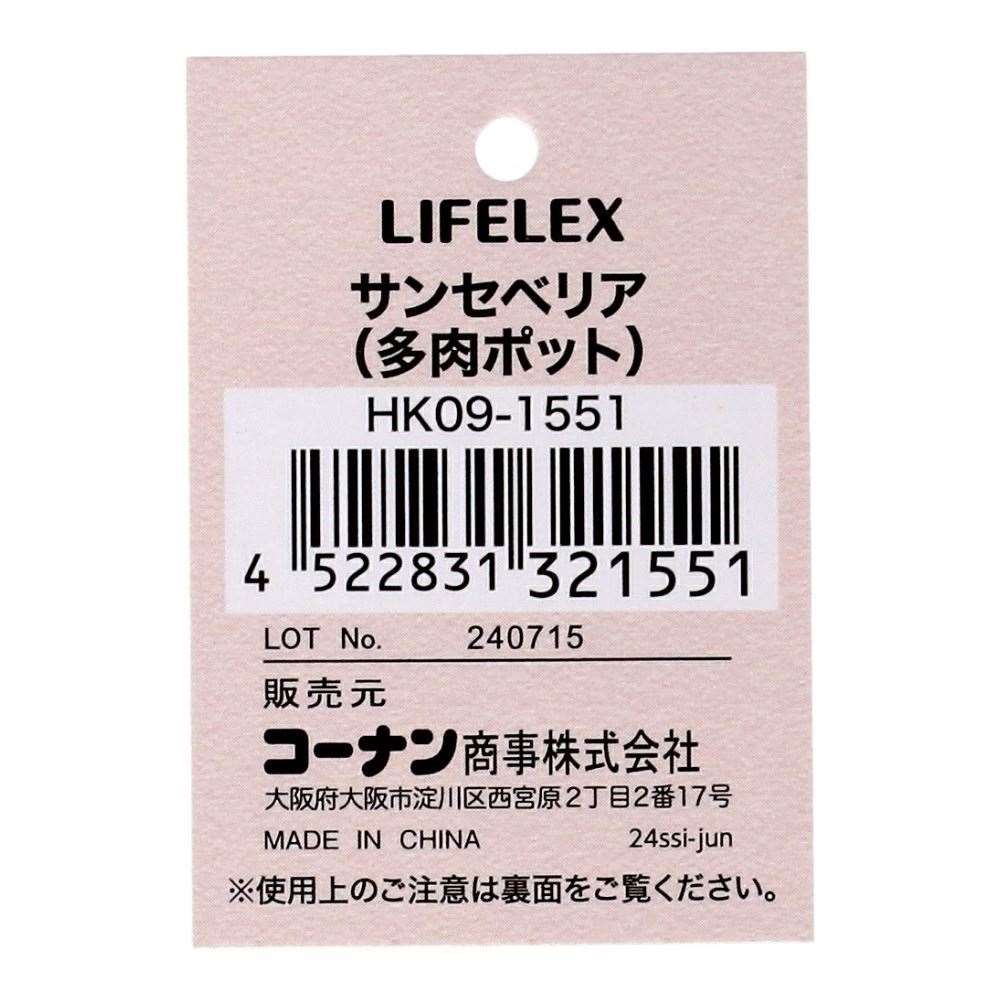 LIFELEX　サンセベリア（多肉ポット）　ＨＫ０９－１５５１