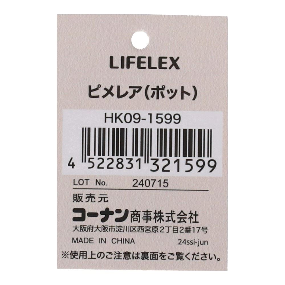 LIFELEX　ピメレア（ポット）　ＨＫ０９－１５９９