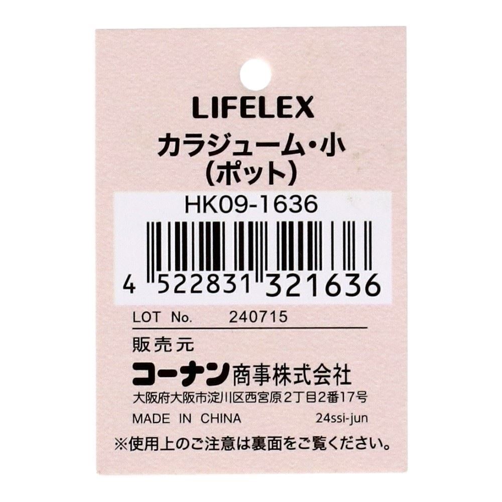 LIFELEX　カラジューム（小）（ポット）　ＨＫ０９－１６３６