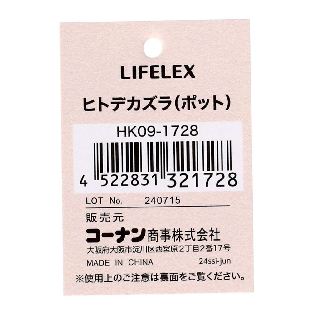 LIFELEX　ヒトデカズラ（ポット）　ＨＫ０９－１７２８