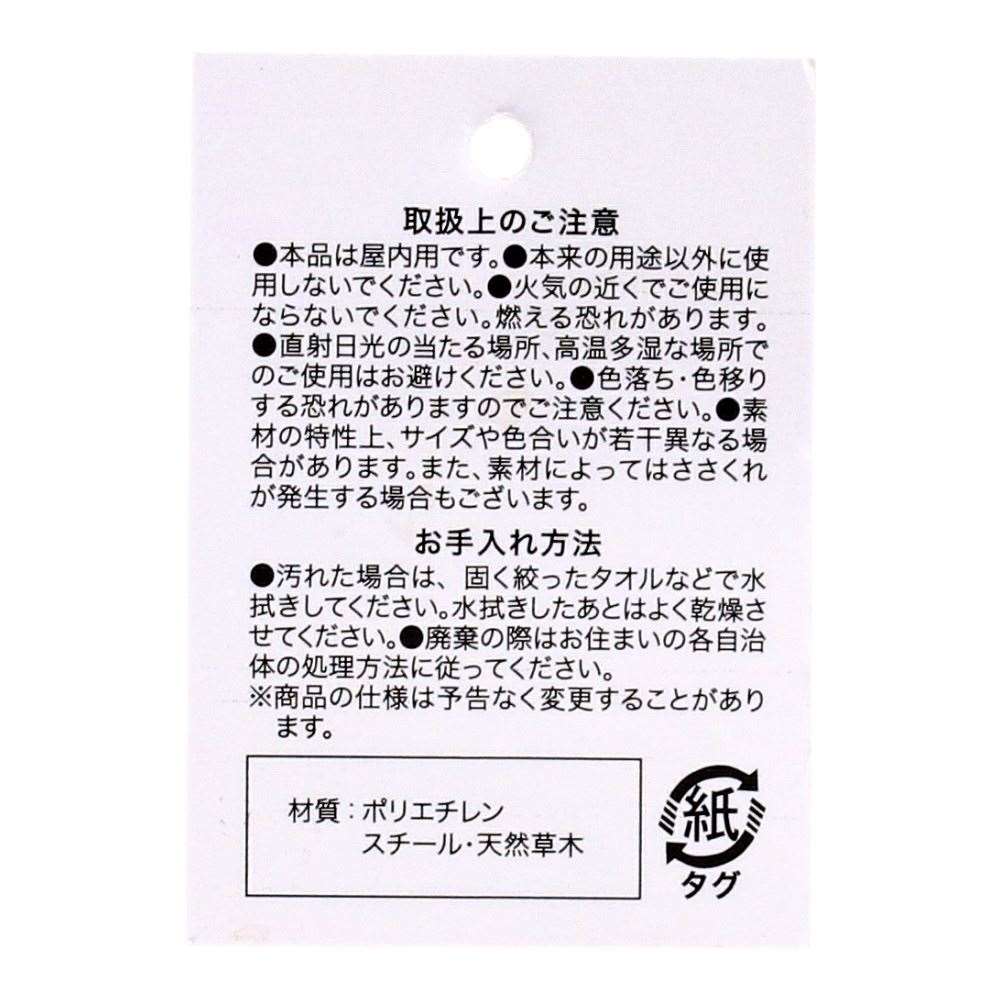 LIFELEX　タキサン（切花）　ＨＫ０９－１７７３