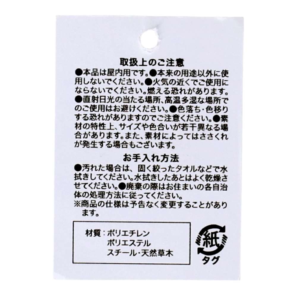 LIFELEX ディジーブルー（切花） HK09-1810