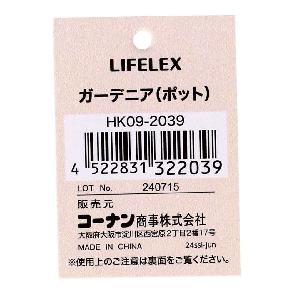 LIFELEX　ガーデニア（ポット）　ＨＫ０９－２０３９