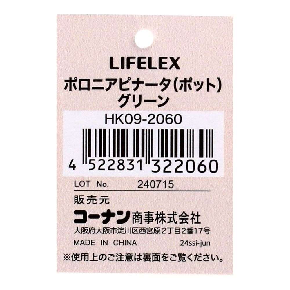LIFELEX　ポロニアピナータグリーン（ポット）　ＨＫ０９－２０６０