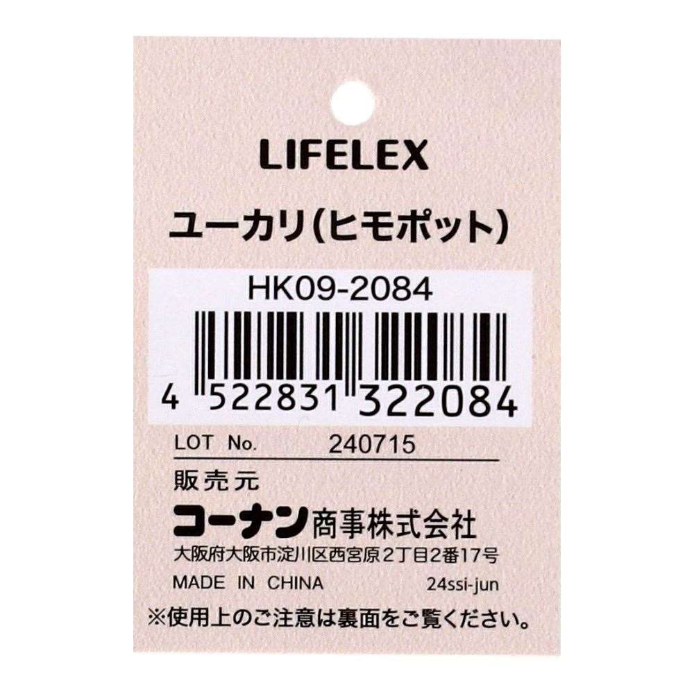 LIFELEX　ユーカリ（ヒモポット）　ＨＫ０９－２０８４