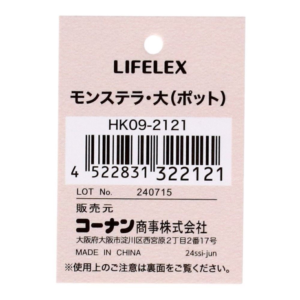 LIFELEX　モンステラ（大）（ポット）　ＨＫ０９－２１２１