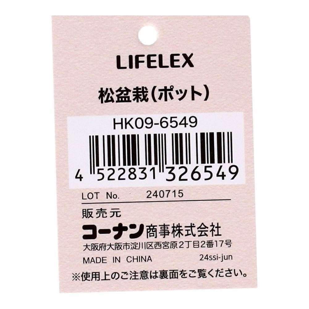 LIFELEX　松盆栽（ポット）　ＨＫ０９－６５４９