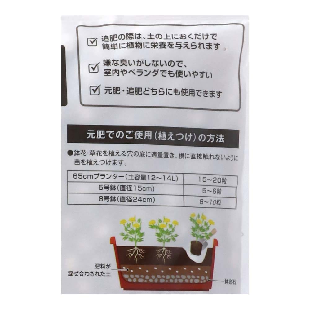 LIFELEX 置くだけ白粒肥料　５００ｇ　ＫＡ０９－４１９０ 白粒肥料　５００ｇ