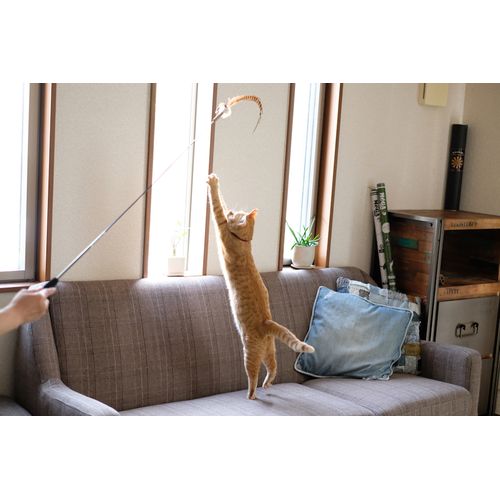ＭｅＧＡじゃらし　ブラウン 本体