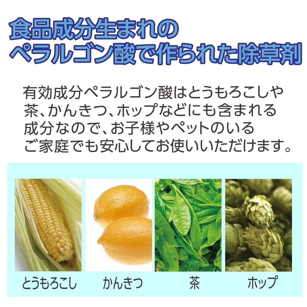 アース製薬 (アースガーデン)  おうちの草コロリ つめかえ 1.7Ｌ ふんわりローズの香り 詰替