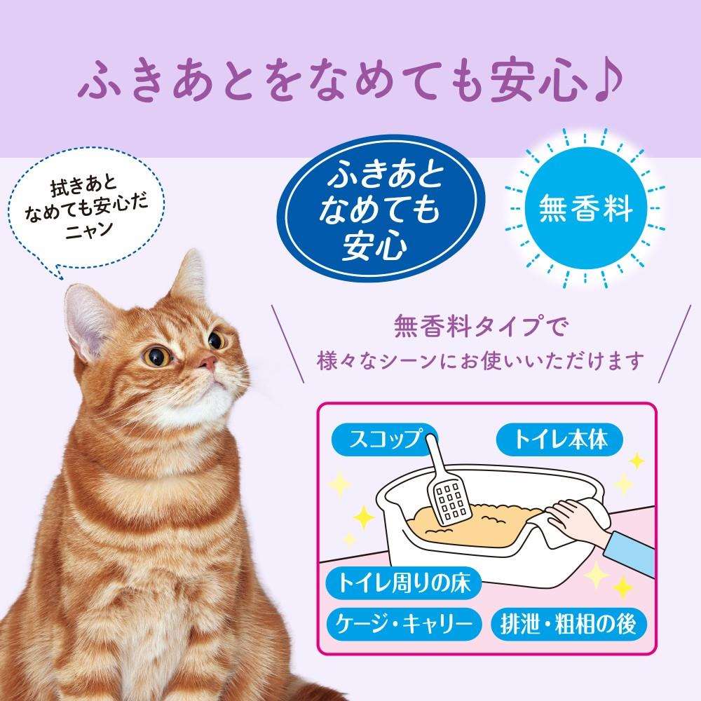 大王製紙 キミおもい　徹底キレイおそうじシート　ボトルつめかえ　６０枚 ボトルつめかえ　６０枚