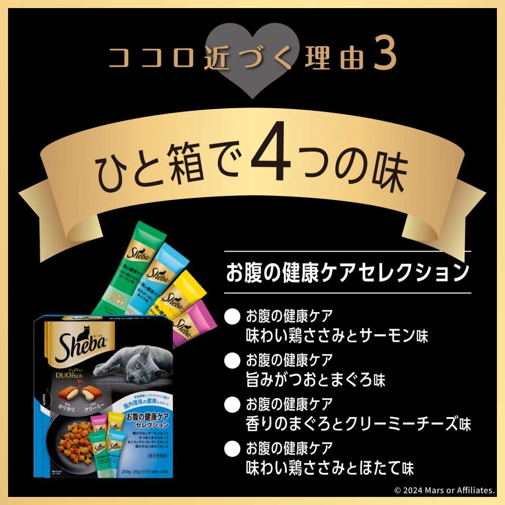 シーバ　デュオ　キャットフード　ドライ　お腹の健康ケアセレクション　２００ｇ　成猫用 お腹の健康ケア