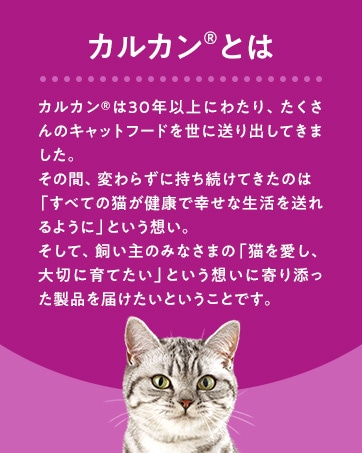 マースジャパンリミテッド　カルカンパウチ８Ｐ　子猫用　お魚ミックス　鮪鰹白身 子猫用　お魚ミックス　鮪鰹白身