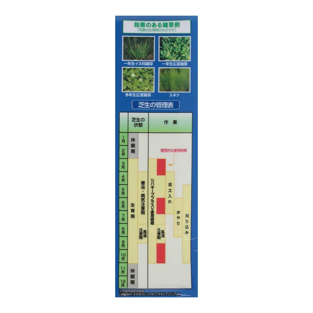 レインボー薬品 シバキーププラスV 1kg 肥料入日本芝用除草剤(1kg): ガーデニング・農業資材|ホームセンターコーナンの通販サイト