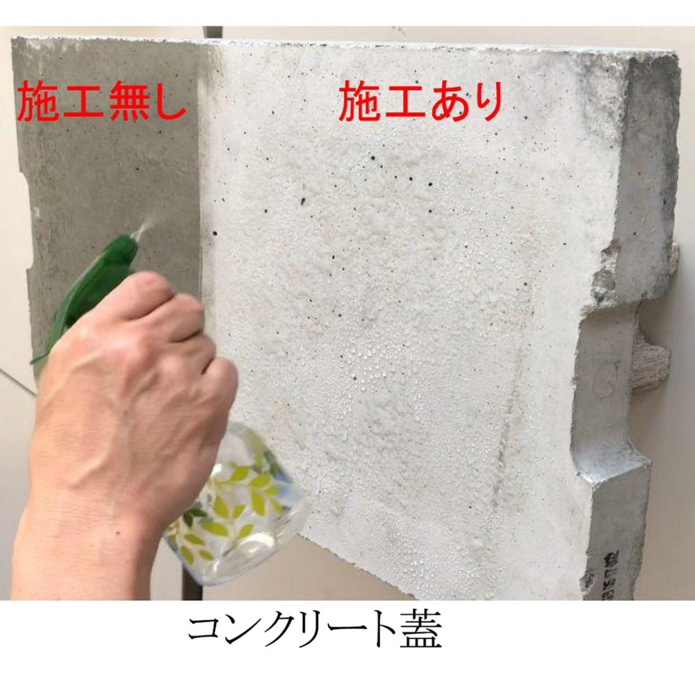 コンクリート・ブロック用コーティング剤 1L CTG008: 塗料・接着剤・補修用品|ホームセンターコーナンの通販サイト