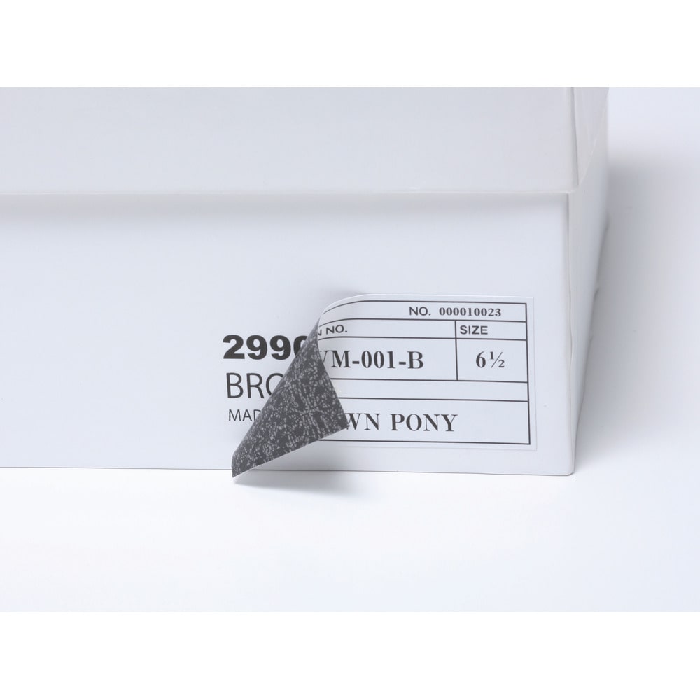 3M エーワン （TM）  ラベルシール（プリンタ兼用）白修正タイプ 10面 （12枚入） 31663
