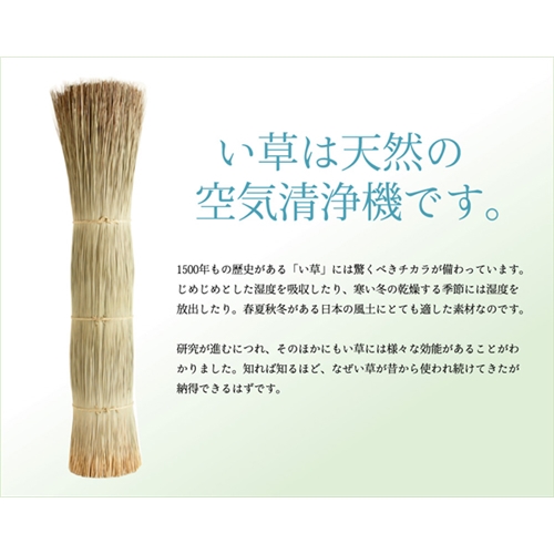 イケヒコ・コーポレーション(IKEHIKO) 　純国産　双目織　い草上敷カーペット　『草津』　本間２畳　約１９１×１９１ｃｍ 本間２畳　約１９１×１９１ｃｍ