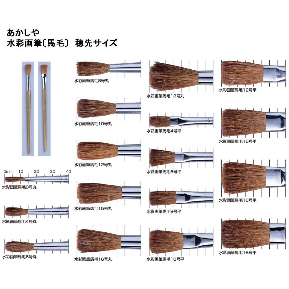 画筆馬平１０号