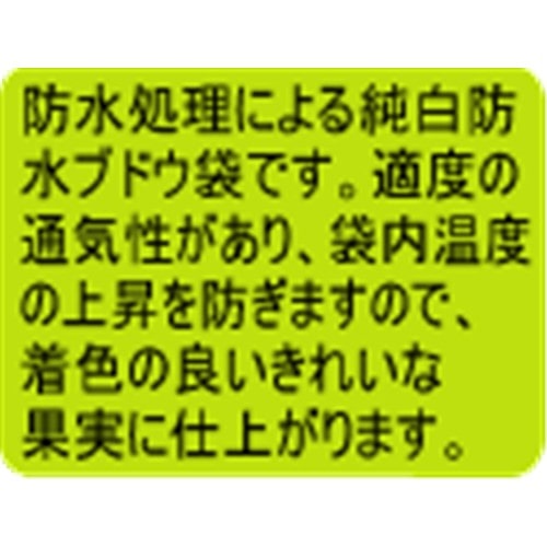 果実袋　ブドウ　小　２０枚入 ブドウ　小　２０枚入