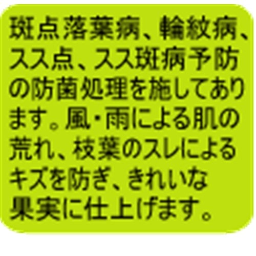 果実袋　リンゴ　２０枚入 リンゴ　２０枚入